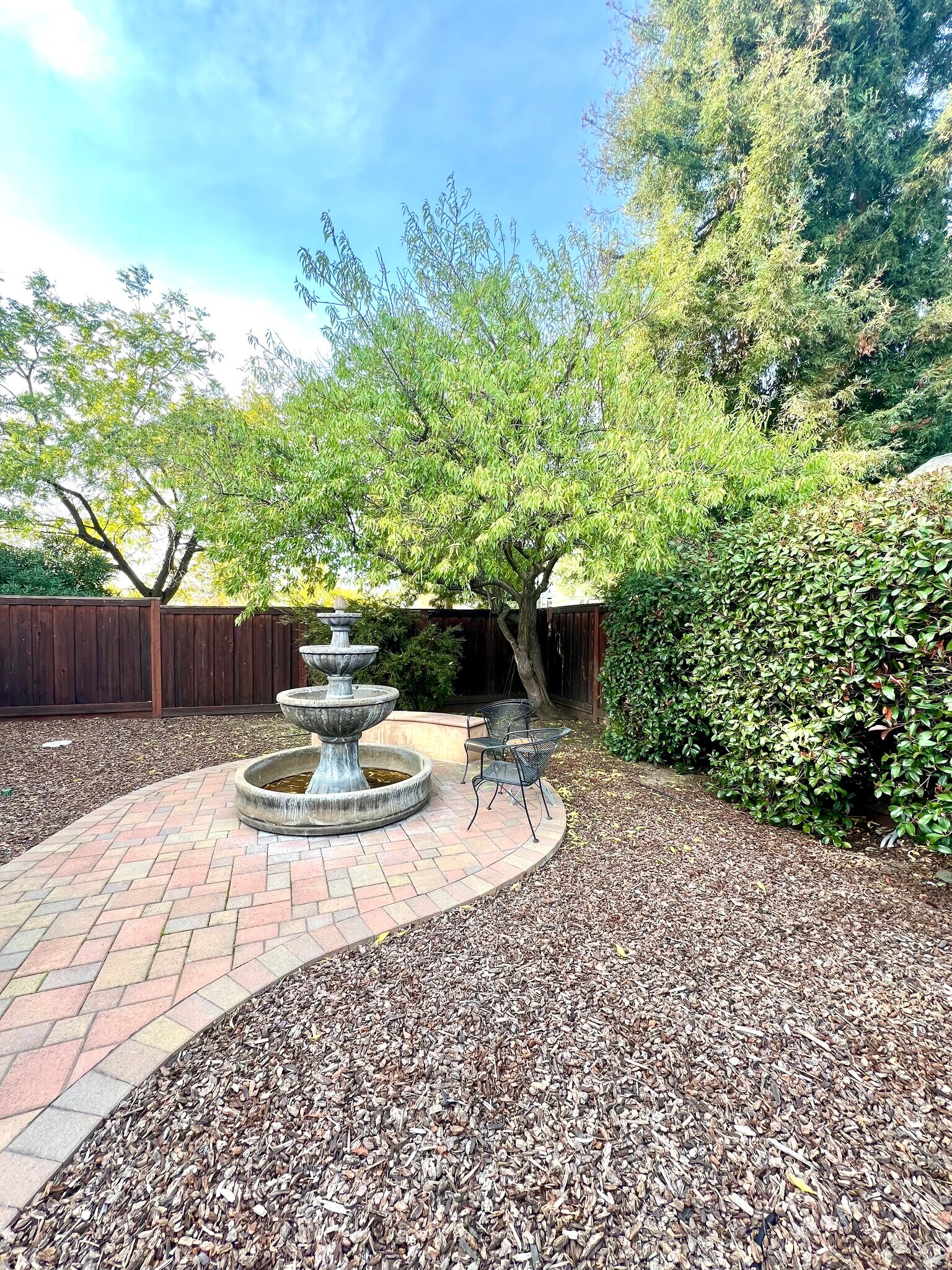 Building Photo - 3799 El Campo Ct