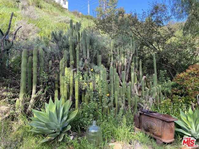 Building Photo - 2442 Old Topanga Canyon Rd