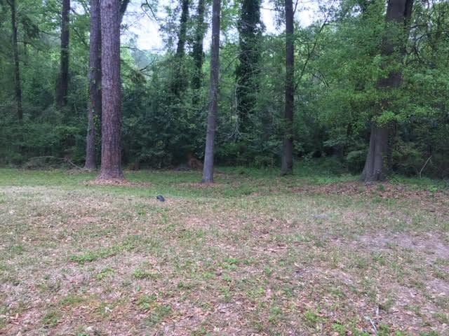 Building Photo - 960 N Pierce Ave