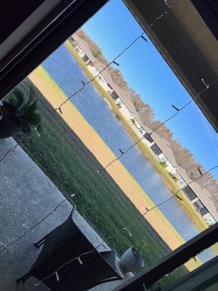 Backyard - 17784 Turning Leaf Cir