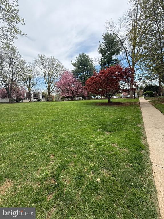 Building Photo - 20 Dougherty Blvd