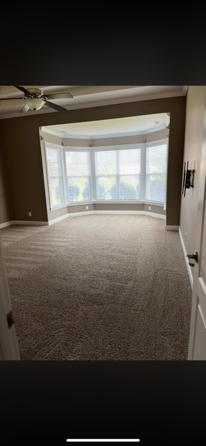 Primary Bedroom (downtairs) - 313 Thornhill St