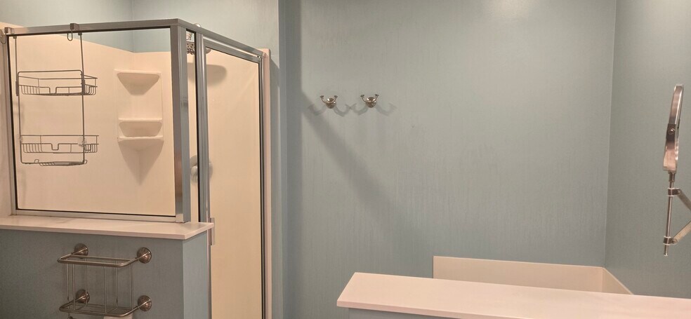 Shower - 11289 Preswick Blvd