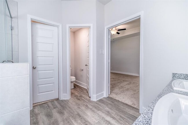 Building Photo - 4417 Ibiza Ln