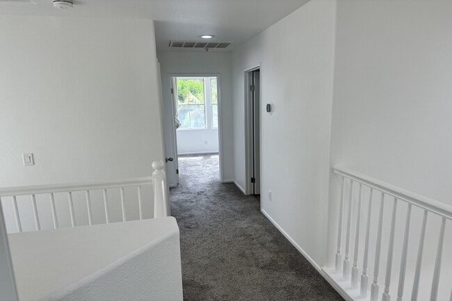 Building Photo - 1817 Calypso Dr