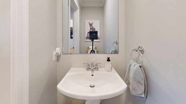 Building Photo - 56 Albemarle Rd