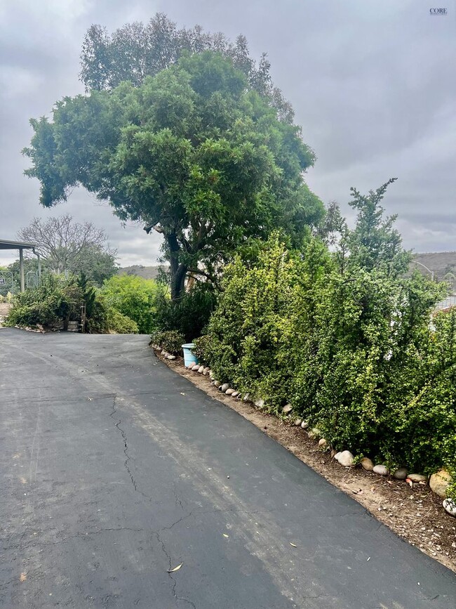Building Photo - Hidden Gem with Views! 2 bedroom, 1 bathroom