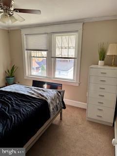 Building Photo - 421 N Chestnut St