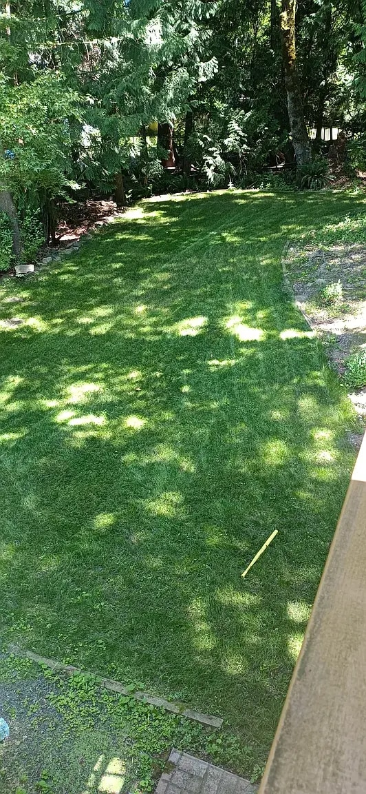 Backyard - 7508 145th Ave NE