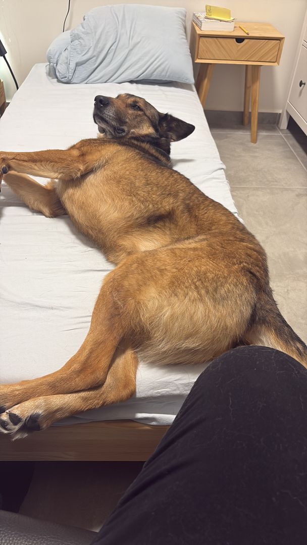 Building Photo - Special Improveent District!! Hurry to see this special place.