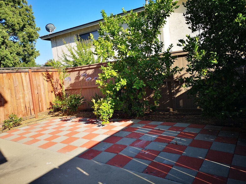 Citrus tree filled backyard - 609 S College Ave