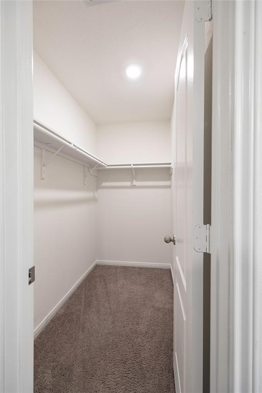 Building Photo - 702 Hardwood Grv Ct