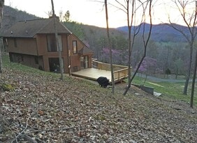Back of house - 983 Brattle Ln