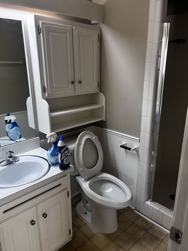 Master bedroom bathroom - 4708 Tempo Dr