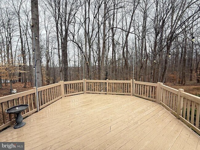 Building Photo - 12003 Skipjack Ct