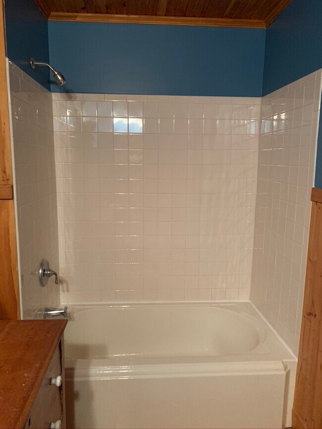 Bathroom - 159 Hamlin Ave