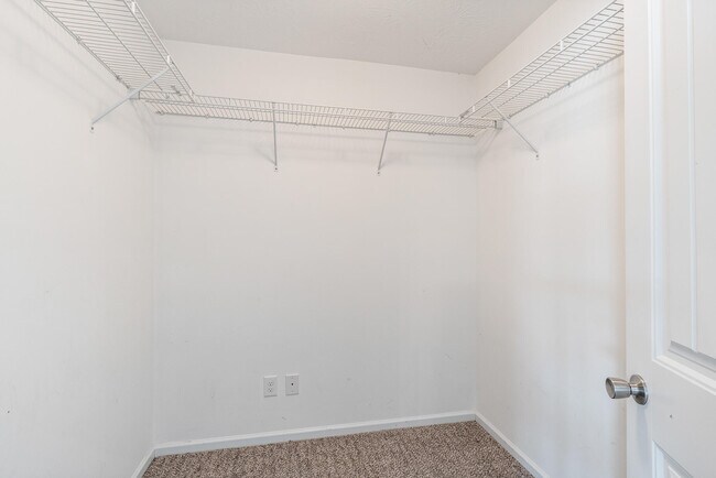 Building Photo - 507 Casey Ct