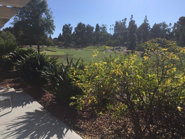 View of golf course from back yard - 15928 Caminito Aire Puro