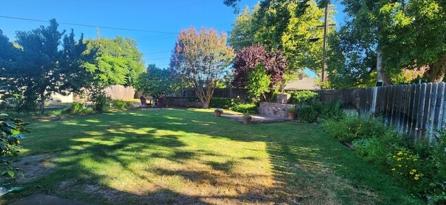Building Photo - 3 Bedroom 1 Bathroom Charmer in Hollywood ...