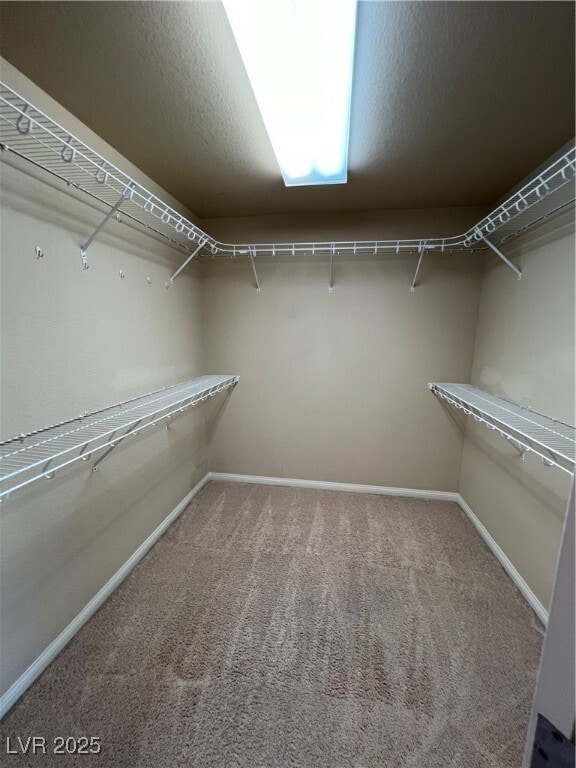 Building Photo - 6703 Bel Canto Ct