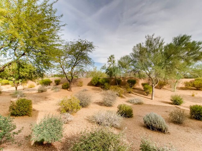 Patio view desert landscape 2 - 19475 N Grayhawk Dr