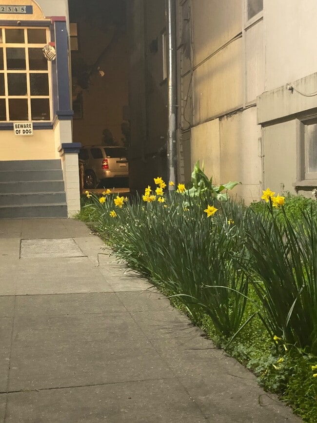 Building Photo - 2345 Fulton St