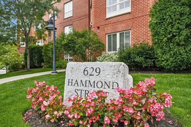 Building Photo - 26 Hammond St