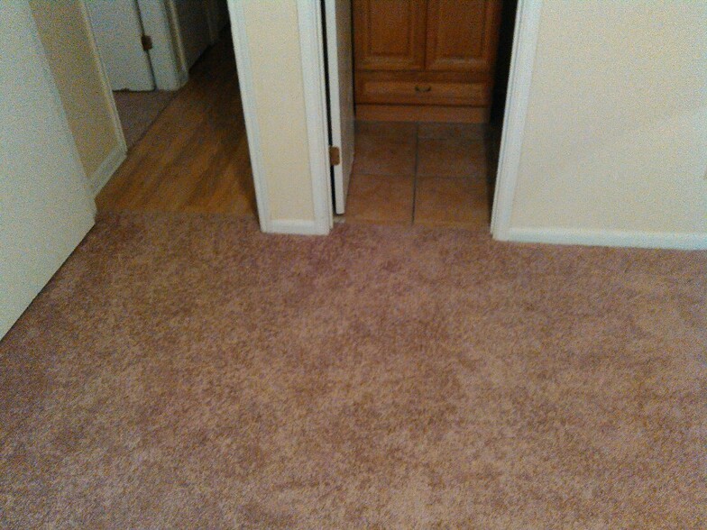 View from Master to bath and hallway. - 7933 Bles Ave