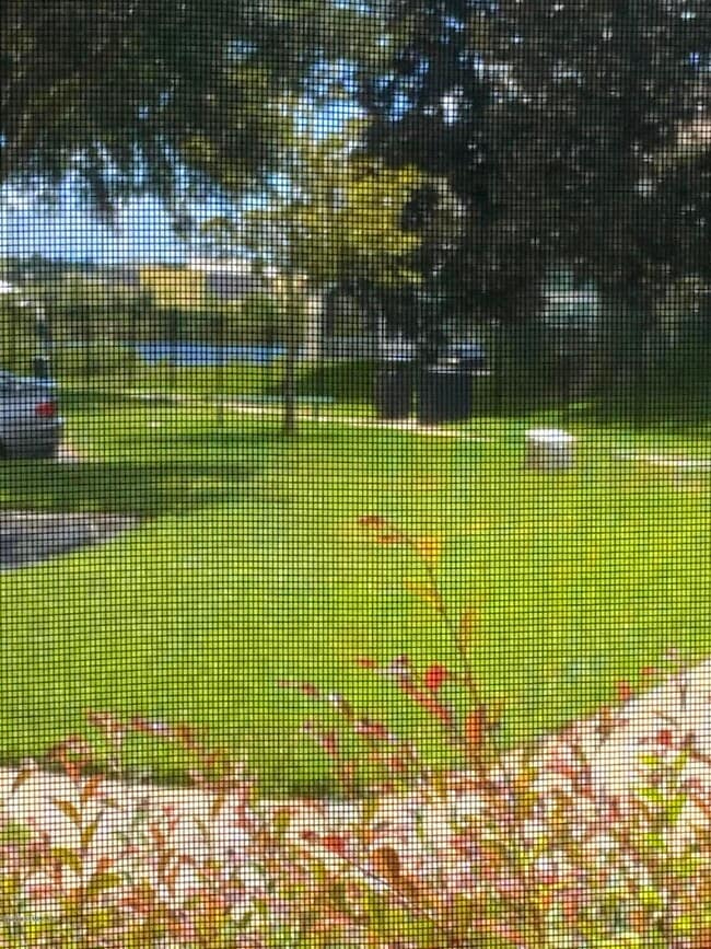 Building Photo - 10075 Gate Pkwy N