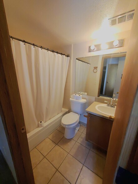 Bathroom - 932 S Dearborn Way