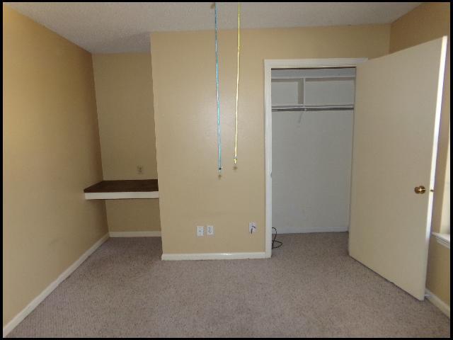 Building Photo - 26 Rio Grande Forest Dr