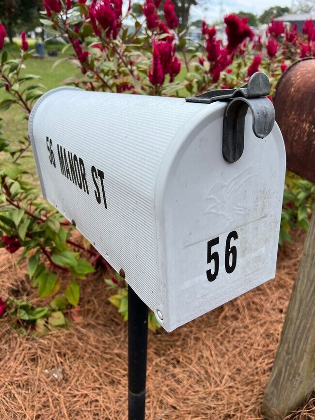 Building Photo - Tiny House for Rent