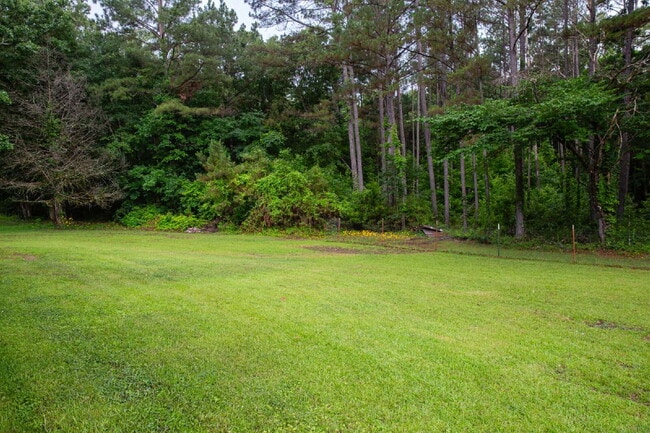 Building Photo - Charming Remodeled 3-Bed/1-Bath Home on 1 Acre — Ideal for Grad Students, Pros, or Game-Day Retre...