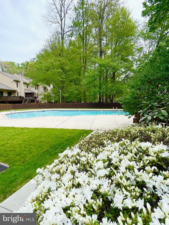 Building Photo - 204 Weatherstone Dr
