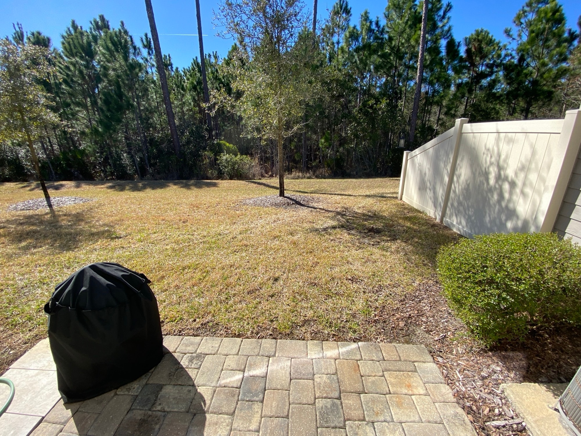 Building Photo - 183 Silver Fern Dr