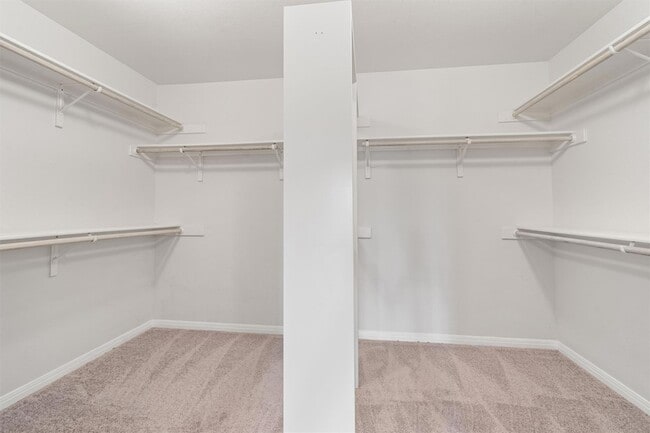 Building Photo - 803 Cashew Ln
