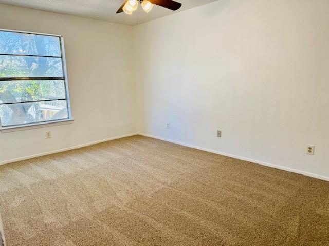 Building Photo - 5907 Cougar Dr