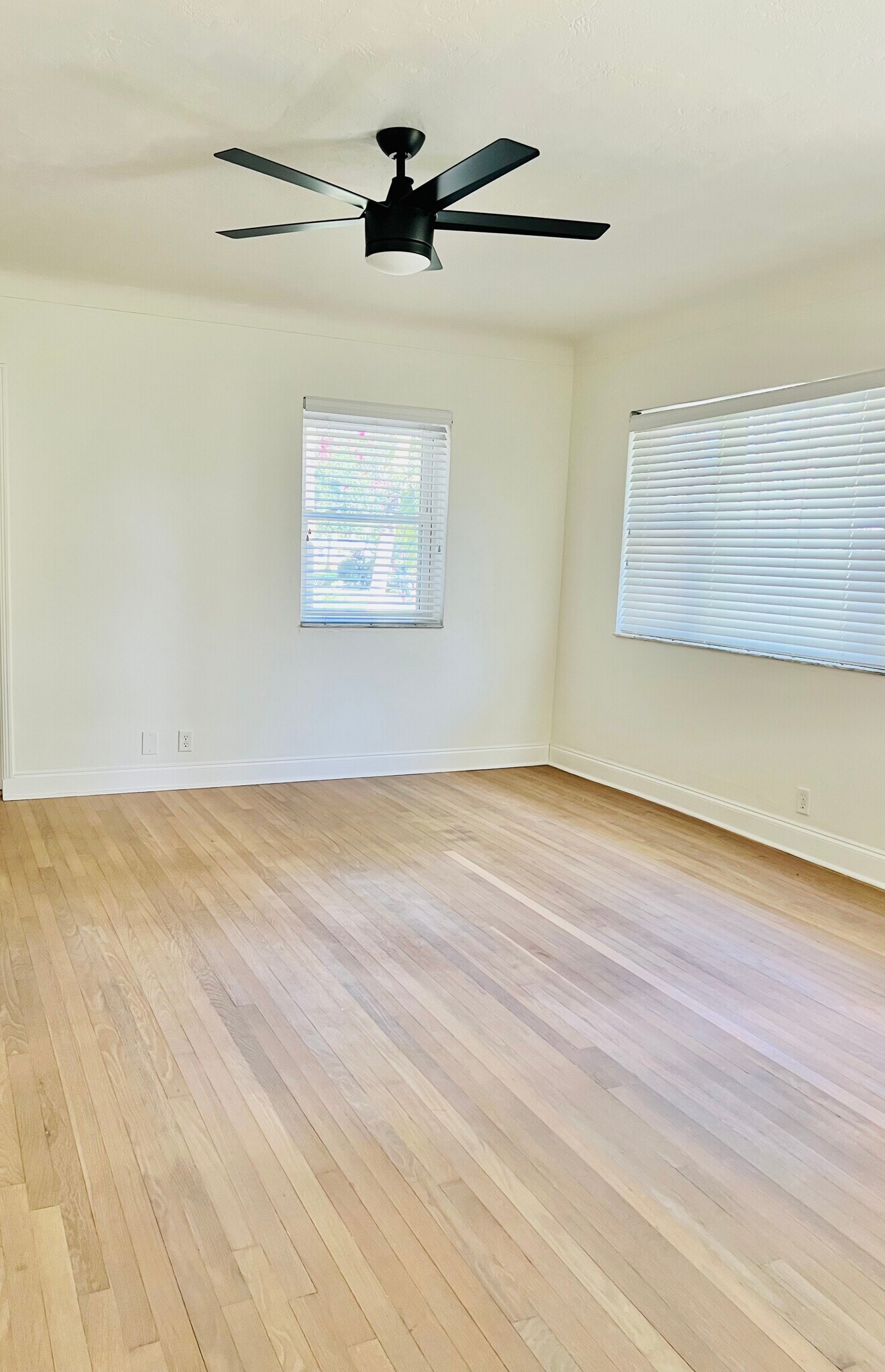 Living area - 6446 Dartmouth Ave N