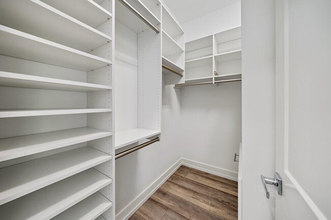 Building Photo - 2938 Gin Berry Way