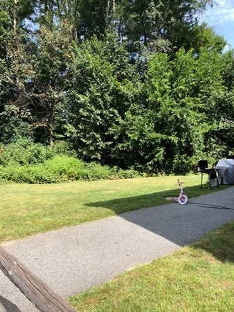 Building Photo - 20 Spaulding St