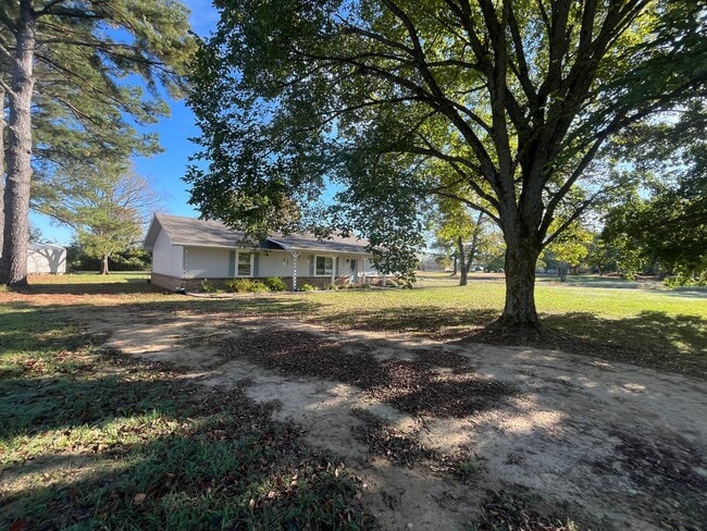 Building Photo - New Listing!