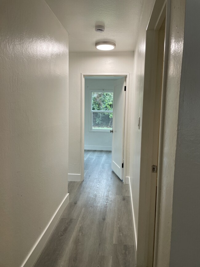 Building Photo - 2509 Michelle Dr