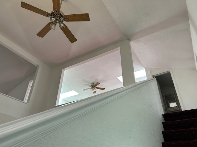 Vault view to Upstairs - 212 Carnahan Ave