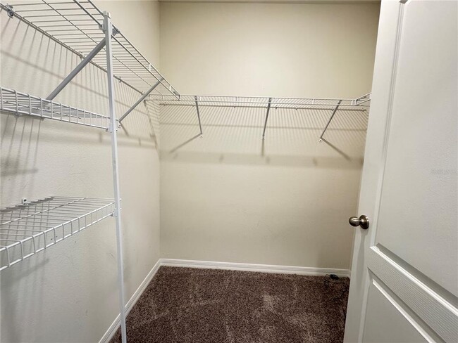 Building Photo - 3197 Royal Tern Dr