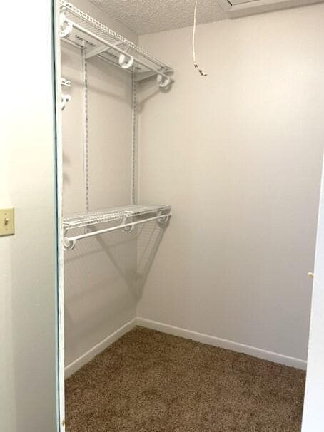 Building Photo - 1202 S Drive Cir
