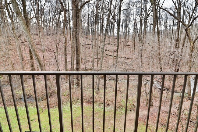 Building Photo - 10488 Parthenon Ct