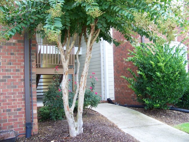 Building Photo - ELK RIDGE OF SOUTH VIEW CONDOMINUMS