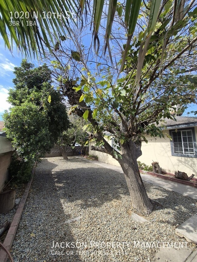 Building Photo - 1020 N 10th St