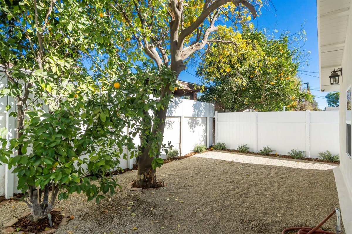 back yard - 13521 Hamlin St