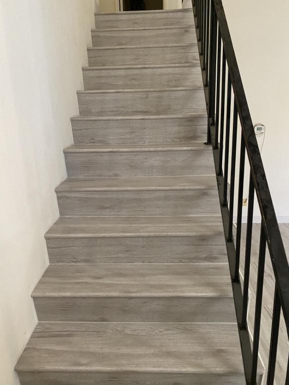 Building Photo - 1649 Pine Ct